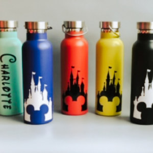 Five colourful water bottles with the Disney castle and Mickey Mouse ears transferred on them in black.